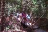Tayrona2