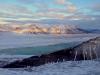 svalbard bibo 006