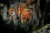 vis-kraljicina-cave-1-900x600